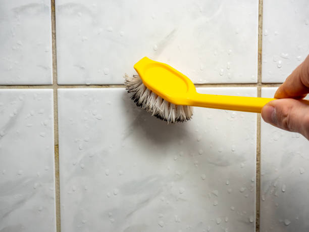 Best Office Mold Removal Services  in South Creek, WA