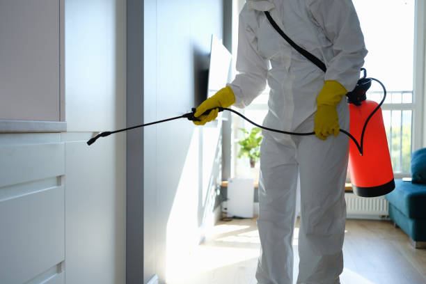 Best Mold Testing  in South Creek, WA