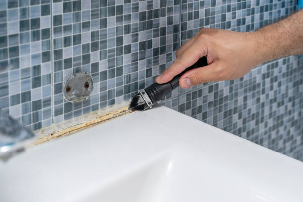 Best Best Mold Removal Companies  in South Creek, WA