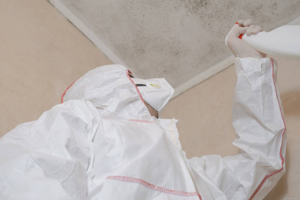 Best Certified Mold Removal  in South Creek, WA